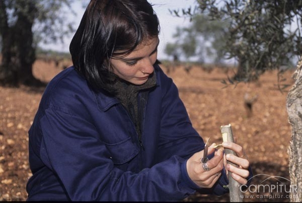 Las mujeres rurales de Sierra Norte pasarán al Régimen de la Seguridad Social 