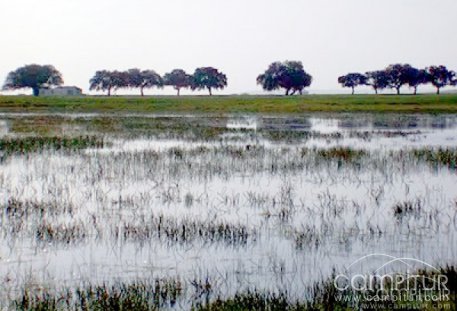 Ecologistas Extremadura denuncian a la CHG por conceder la extracción de agua de las Lagunas del Hueco en Azuaga 