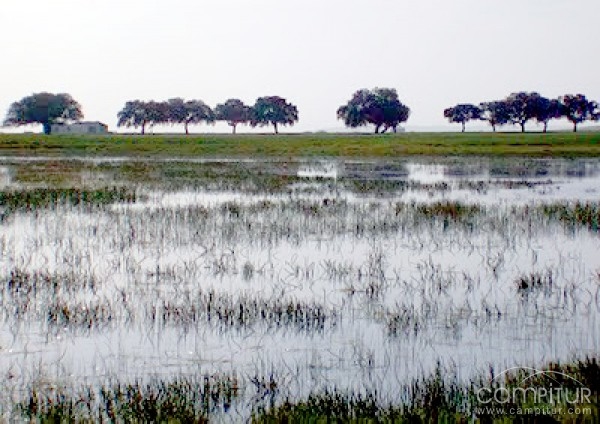 Ecologistas Extremadura denuncian a la CHG por conceder la extracción de agua de las Lagunas del Hueco en Azuaga 
