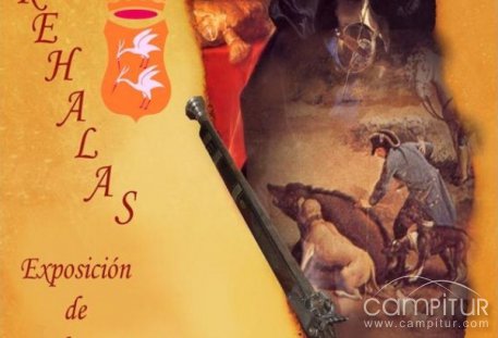 XII Concentración de Rehalas en Cazalla de la Sierra 