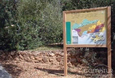 Itinerario guiado por el Sendero de “Los Castañares” de Constantina