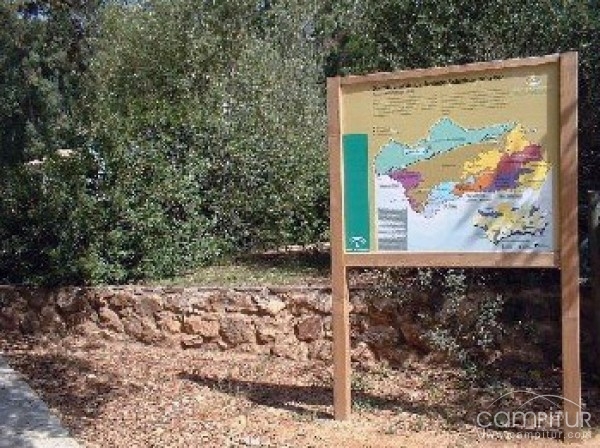 Itinerario guiado por el Sendero de “Los Castañares” de Constantina