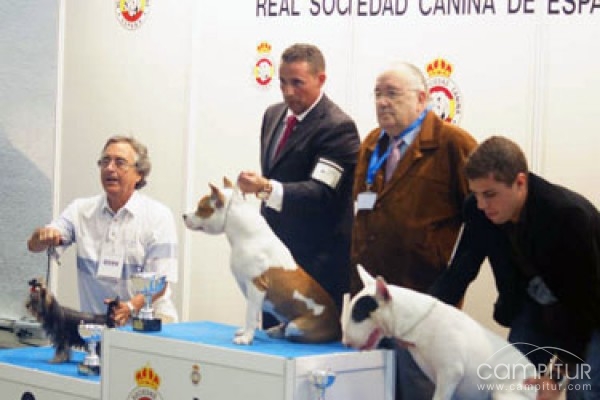 II Exposición Nacional Canina P Campeonato de España en Azuaga 