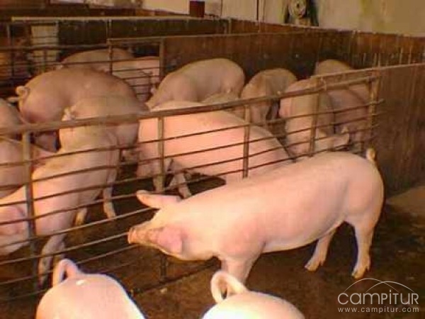 Cursos de Plaguicidas de Uso Agrario y Bienestar Animal en la Campiña Sur 