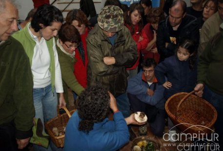 Gran afluencia de participantes en las Jornadas Micológicas de Constantina 