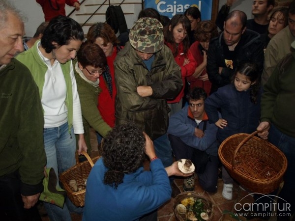 Gran afluencia de participantes en las Jornadas Micológicas de Constantina 