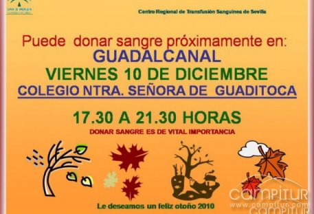 Campaña de donación de Sangre en Guadalcanal 