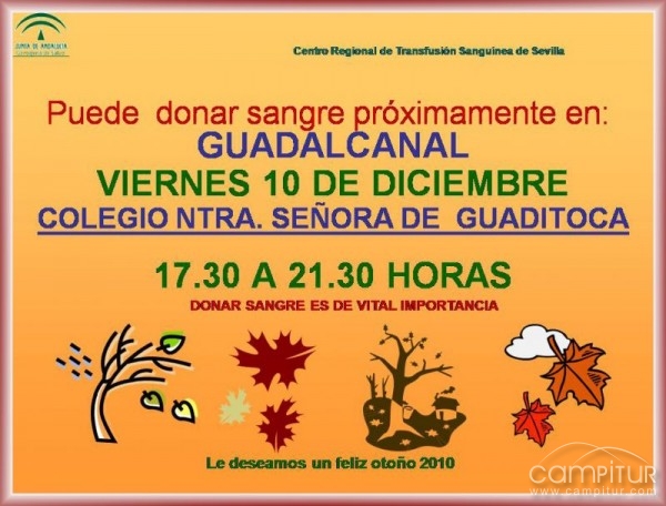 Campaña de donación de Sangre en Guadalcanal 