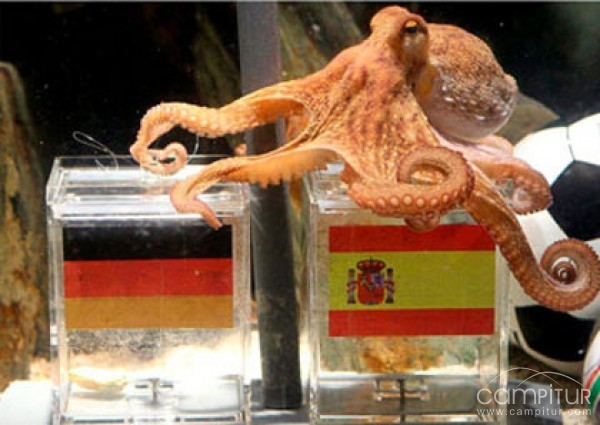 Según una cineasta china, el pulpo Paul pudo haber muerto antes de la final del Mundial 