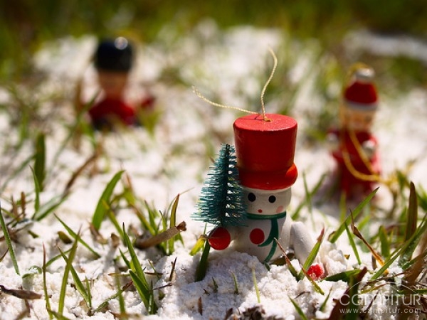 Actividades lúdicas para festejar la Navidad 2010 en Valsequillo 