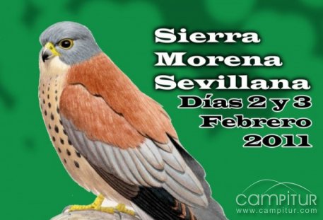 Programación de la III Jornadas de Turismo Ornitológico de Sierra Morena 