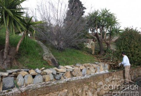 Trabajos de mejora en el Castillo de Constantina y sus alrededores 