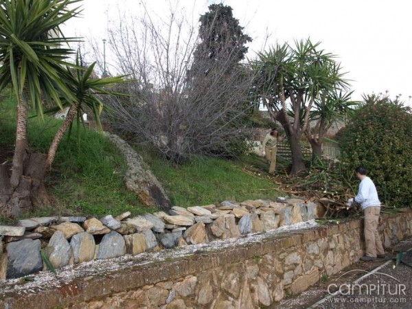 Trabajos de mejora en el Castillo de Constantina y sus alrededores 