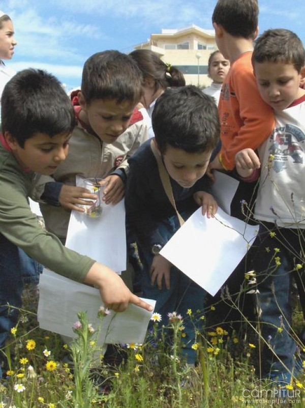 El Jardín Botánico “El Robledo” organiza un Taller de Iniciación a la Botánica 