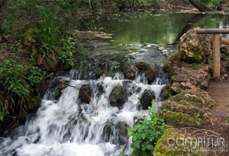 I Jornada para la Igualdad “El agua nos iguala: mójate” en San Nicolás del Puerto 