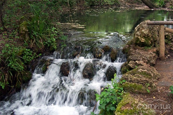 I Jornada para la Igualdad “El agua nos iguala: mójate” en San Nicolás del Puerto 