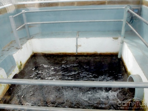Rehabilitado el Kiosco del Agua en Constantina 