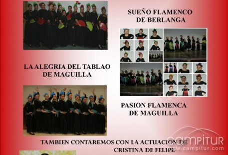 Festival de Baile Flamenco en Berlanga