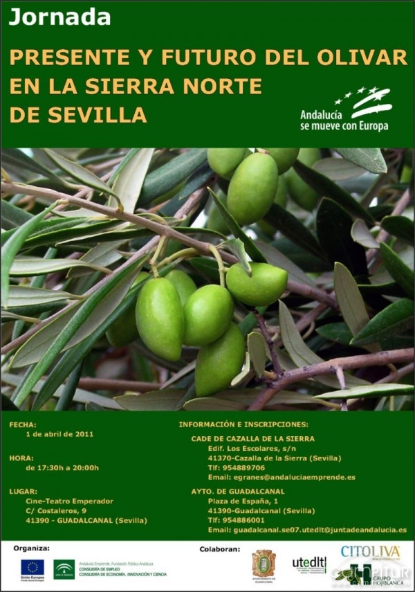Jornada “Presente y Futuro del Olivar en la Sierra Norte de Sevilla” 