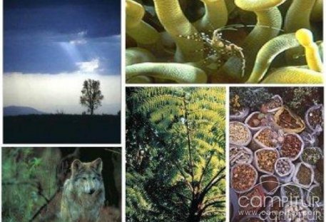 I Maratón y Concurso Fotográfico sobre Biodiversidad en Villanueva del Rey 