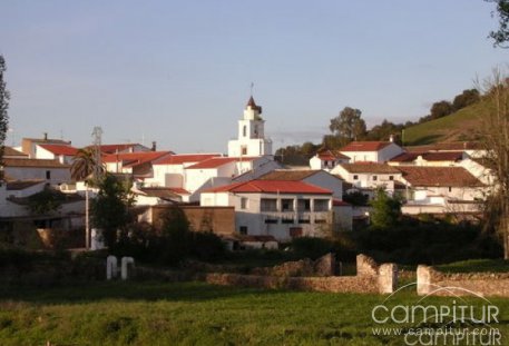 I Jornada de Desarrollo Local y Empleo en San Nicolás del Puerto 