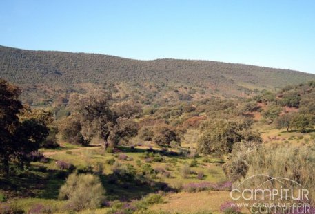 Extremadura es uno de los tres destinos sobresaliente para el turista extranjero 