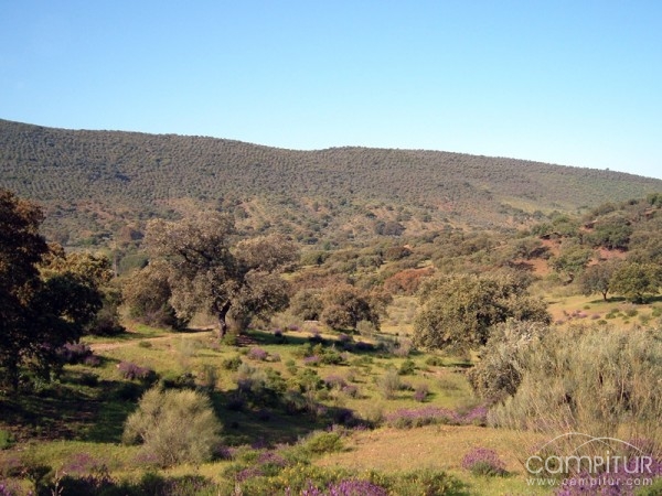 Extremadura es uno de los tres destinos sobresaliente para el turista extranjero 