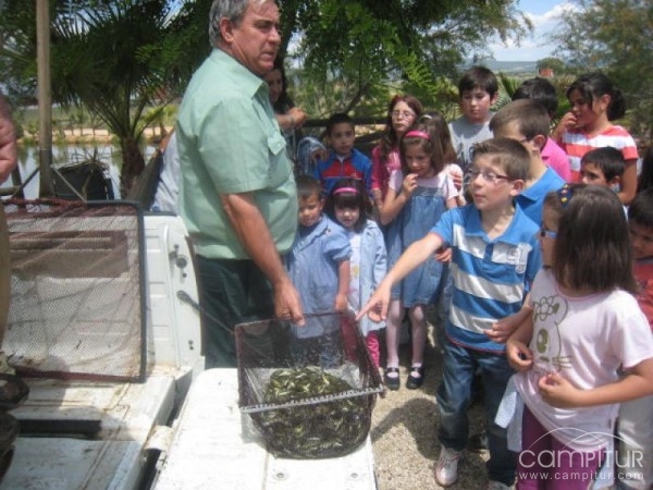 Repueblan “El Estanque” con más de 3.000 tencas 
