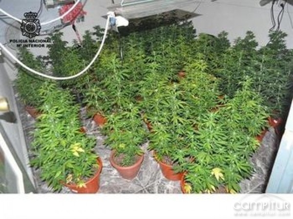 Desmantelado un “fumadero” y punto de venta de droga en Azuaga 