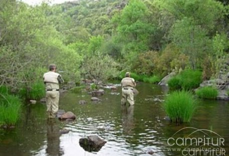 Jornadas de Pesca con Mosca en la Sierra Norte 