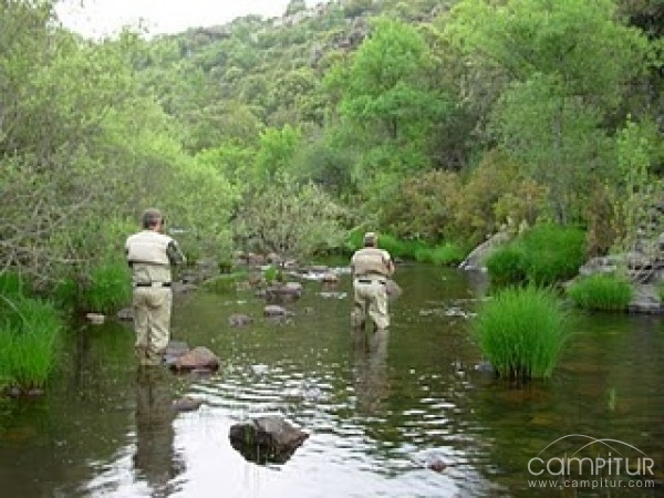 Jornadas de Pesca con Mosca en la Sierra Norte 