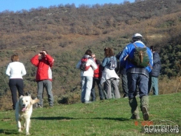 Celebración de la V Ruta de Senderismo en Granja de Torrehermosa