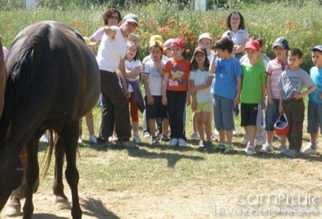 Programación de la Escuela de Verano de Alanís 