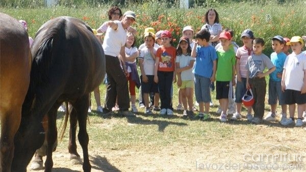 Programación de la Escuela de Verano de Alanís 