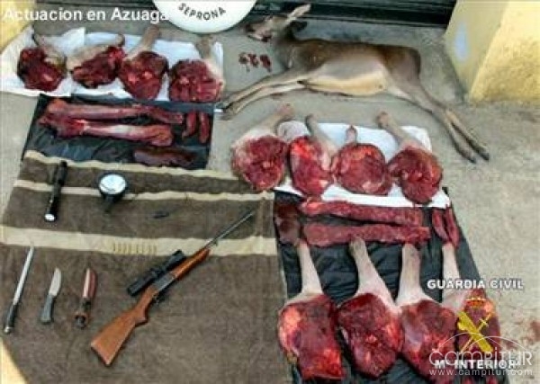 Detenidos dos cazadores furtivos en Azuaga 