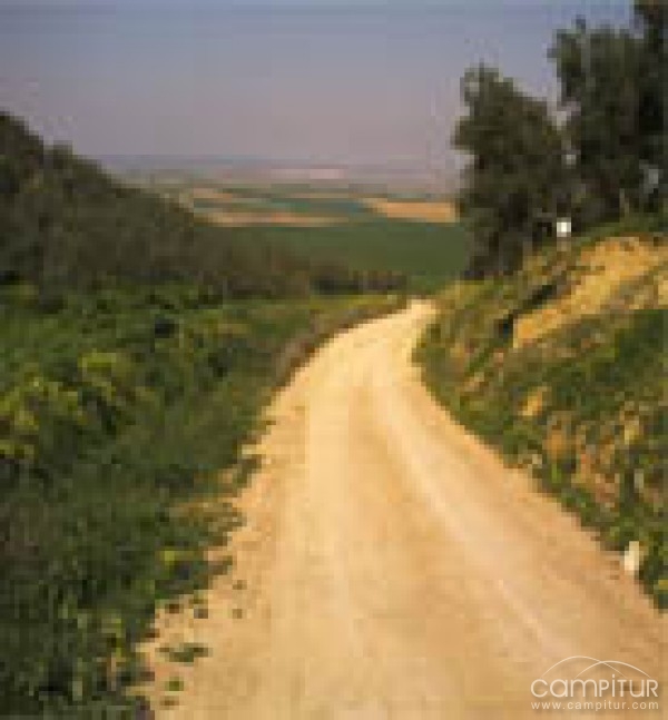 Arreglos de dos Caminos Públicos en Alanís 