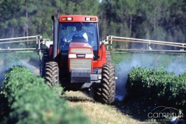 Tres de los ocho cursos organizados por Agricultura se impartirán en la Campiña Sur 