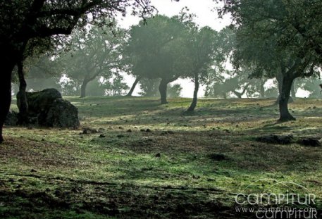 El Ayuntamiento de Villaharta organiza una nueva ruta de senderismo 