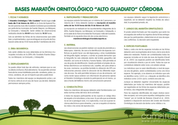 Maratón Ornitológico ZEPA Alto Guadiato 