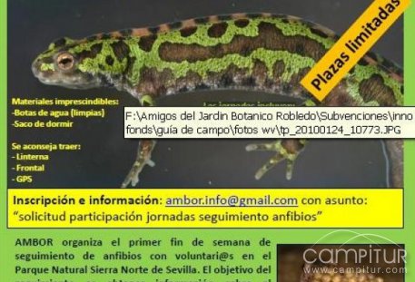 II Jornadas de Seguimiento de Anfibios en el Parque Sierra Norte de Sevilla 