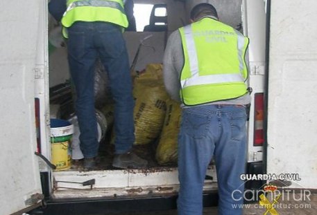 Los robos de aceitunas en la provincia de Badajoz descienden a casi la mitad 