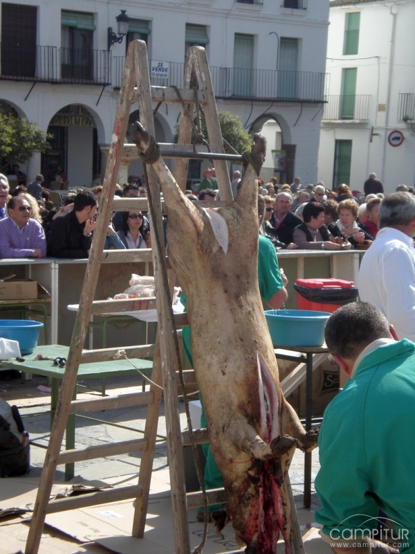 Más de 4.000 personas asisten a la Matanza Didáctica de Llerena 
