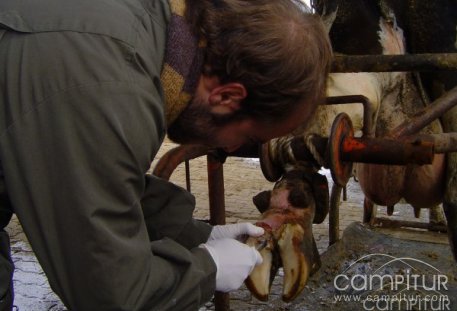 Clausurado el Curso “Ayudante Técnico Veterinario” organizado por el CEDER 