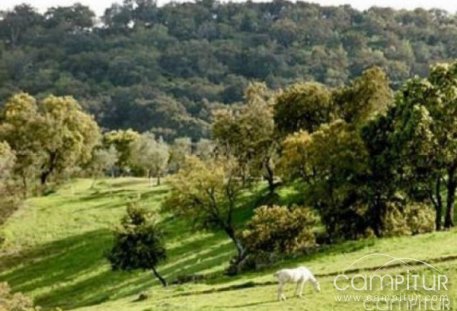 Nuevo Taller en el Jardín Botánico “El Robledo” de Constantina 