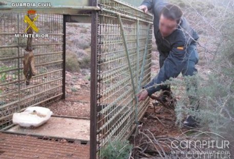 Seprona denuncia un coto de caza por usar jaulas trampas  
