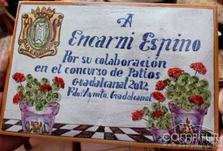 Celebrado el Concurso de Patios Andaluces en Guadalcanal 