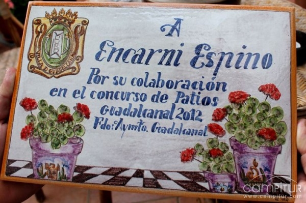 Celebrado el Concurso de Patios Andaluces en Guadalcanal 