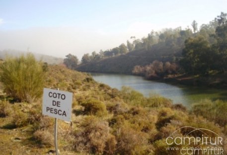 Programación de Deportes para el mes de julio en Azuaga 