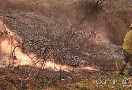 Controlado el incendio declarado cerca de Puebla del Maestre 