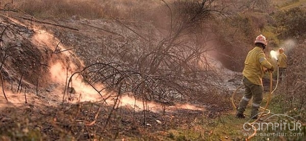 Controlado el incendio declarado cerca de Puebla del Maestre 